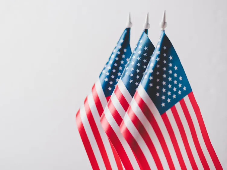 Three small American flags standing together against a plain light gray background