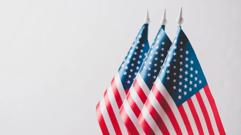 Three small American flags standing together against a plain light gray background